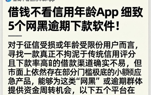 借钱不看信用年龄App，细致阐述5个网黑逾期下款软件