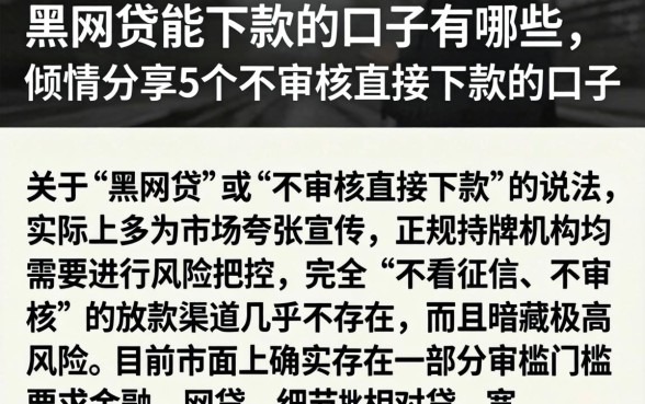 黑网贷能下款的口子有哪些，倾情分享5个不审核直接下款的口子