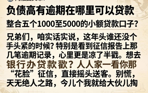 负债高有逾期在哪里可以贷款，整合五个1000至5000的小额贷款口子