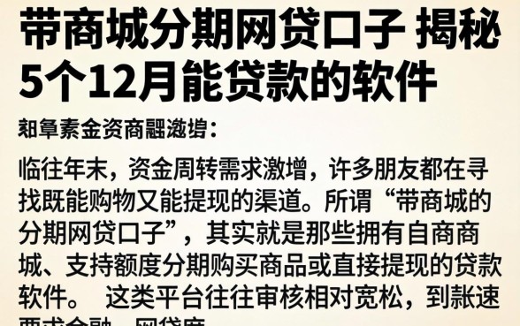 带商城的分期网贷口子，揭秘5个12月能贷款的软件