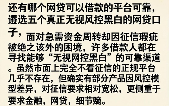 还有哪个网贷可以借款的平台可靠,遴选五个真正无视风控黑白的网贷口子
