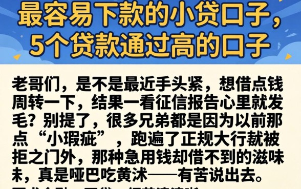 最容易下款的小贷口子，详细阐述5个贷款通过高的口子
