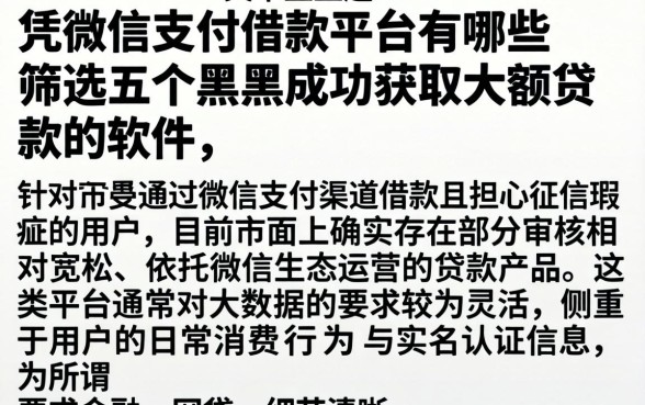 凭微信支付借款的平台有哪些，筛选五个黑户成功获取大额贷款的软件