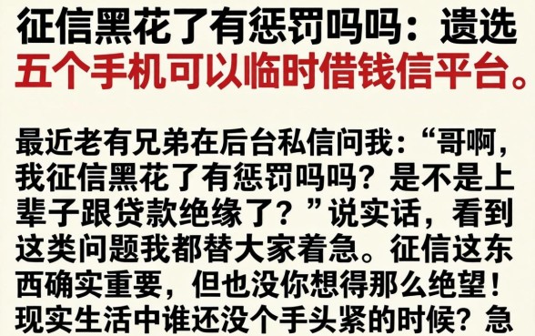 征信黑花了有惩罚吗吗，遴选五个手机可以临时借钱的平台