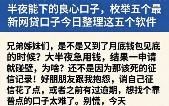 半夜能下的良心口子，枚举五个最新网贷口子今日整理这五个软件