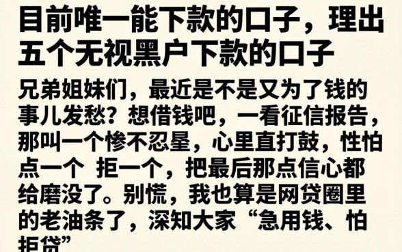 目前唯一能下款的口子，理出五个无视黑户下款的口子