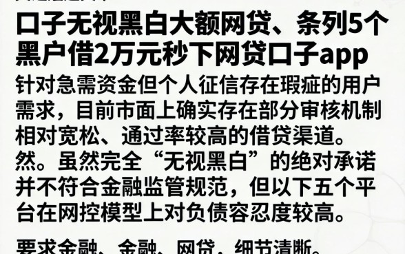 口子无视黑白大额网贷，条列5个黑户借2万元秒下网贷口子app