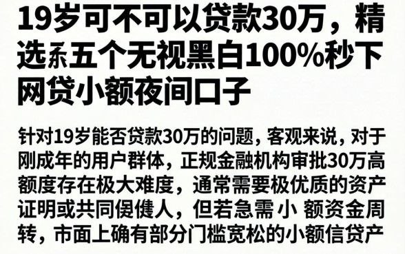 19岁可不可以贷款30万,精选五个无视黑白100%秒下网贷小额夜间口子