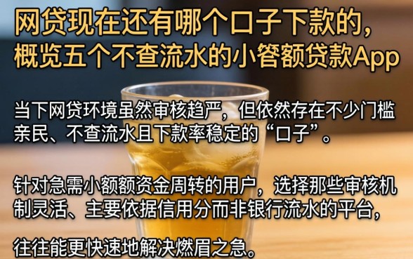 网贷现在还有哪个口子下款的,概览五个不查流水的小额度贷款app