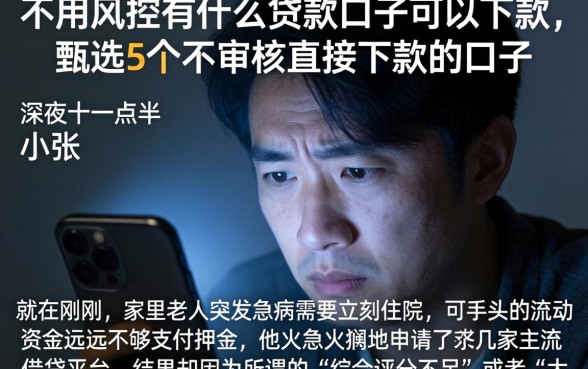 不用风控有什么贷款口子可以下款,甄选5个不审核直接下款的口子