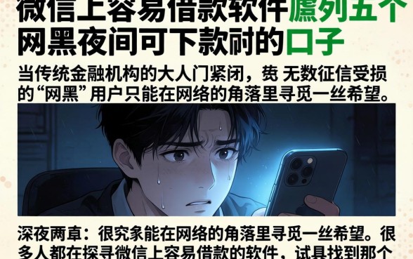 微信上容易借款的软件，胪列五个网黑夜间可下款的口子