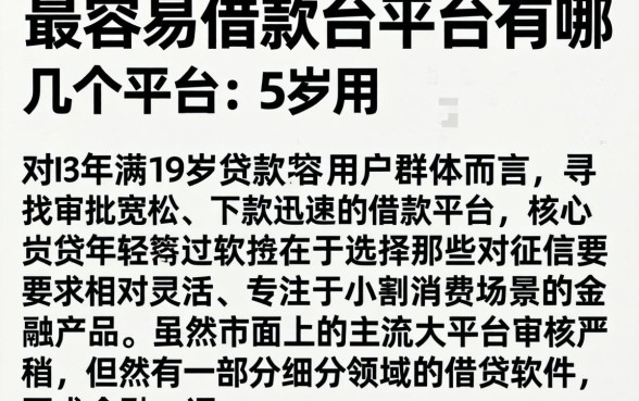 最容易借款的平台有哪几个平台,详尽说明5个19岁贷款容易过审批的软件