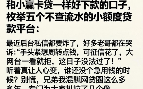 和小赢卡贷一样好下款的口子,枚举五个不查流水的小额度贷款平台