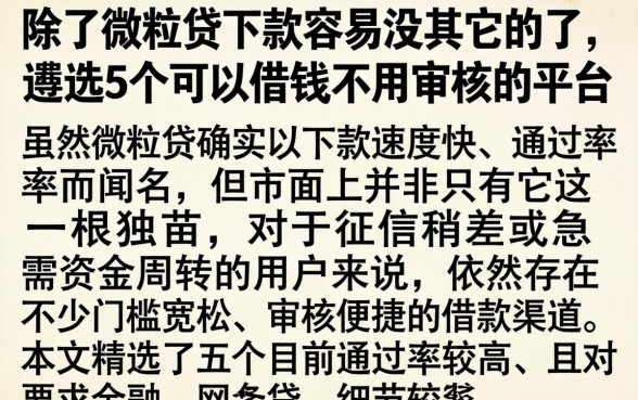 除了微粒贷下款容易没其它的了，遴选5个可以借钱不用审核的平台