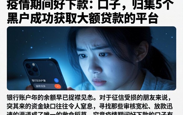 疫情期间好下款的口子，归集5个黑户成功获取大额贷款的平台