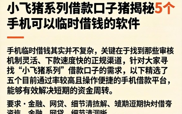 小飞猪系列借款口子，揭秘5个手机可以临时借钱的软件