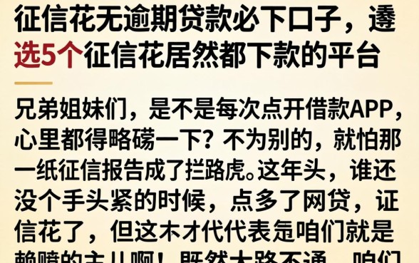 征信花无逾期贷款必下口子，遴选5个征信花居然都下款的平台