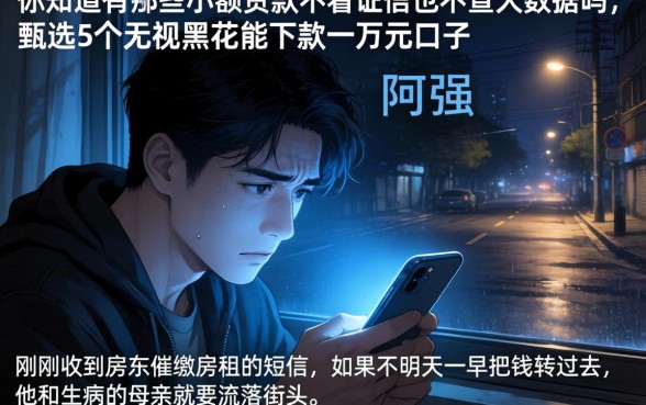 你知道有哪些小额贷款不看征信也不查大数据吗，甄选5个无视黑花能下款一万元口子