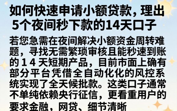 如何快速申请小额贷款,理出5个夜间秒下款的14天口子
