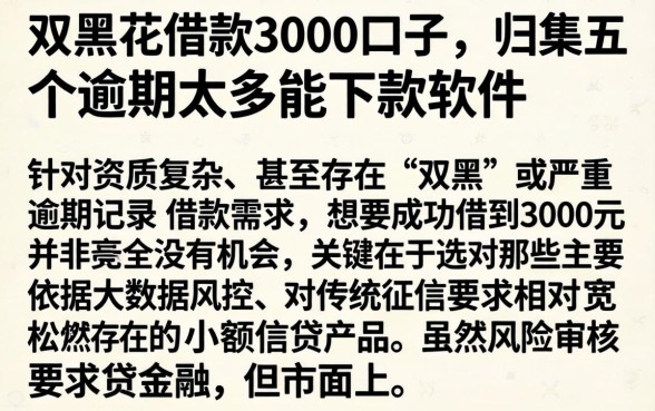 双黑花借款3000的口子,归集五个逾期太多能下款软件