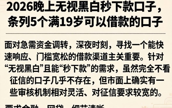 2026晚上无视黑白秒下款口子，条列5个满19岁可以借款的口子