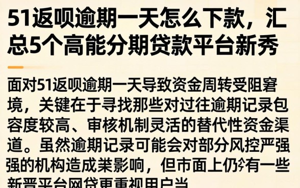 51返呗逾期一天怎么下款，汇总5个高能分期贷款平台新秀