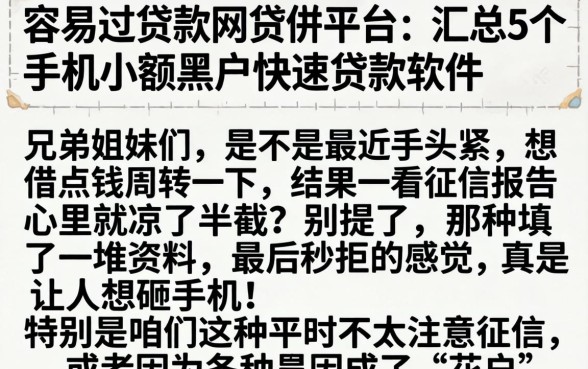 容易过贷款网贷的平台，汇总5个手机小额黑户快速贷款软件