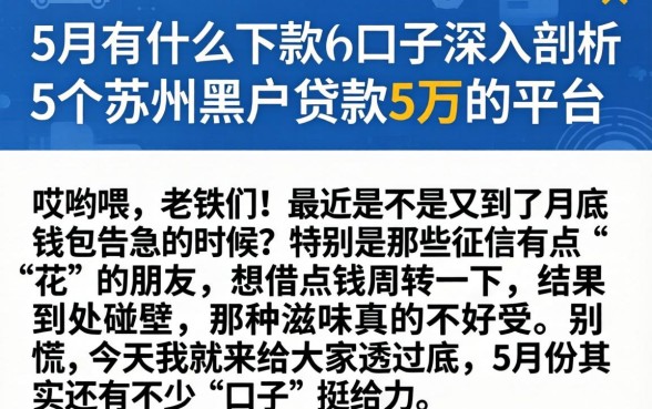 5月有什么下款的口子，深入剖析5个苏州黑户贷款5万的平台