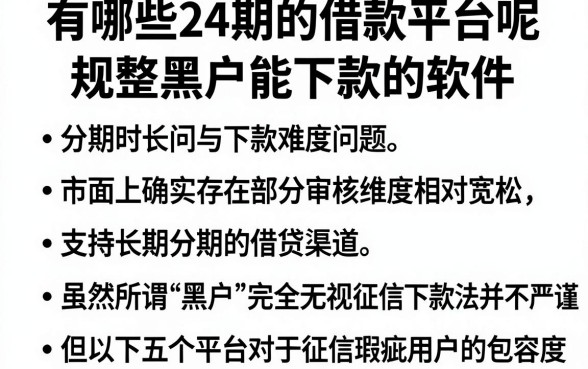 有哪些24期的借款平台呢，规整五个黑户能下款的软件