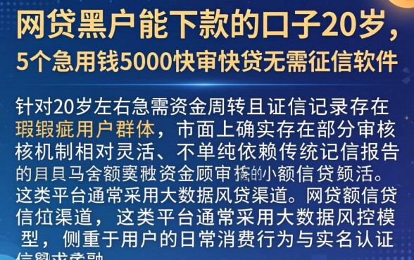 网贷黑户能下款的口子20岁，详细阐述5个急用钱5000快审快贷无需征信软件