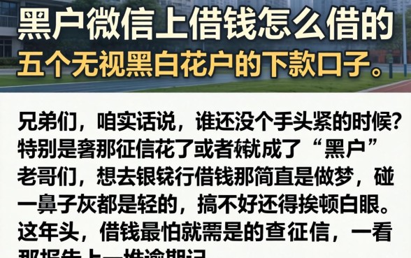黑户微信上借钱怎么借的,条列五个无视黑白花户的下款口子