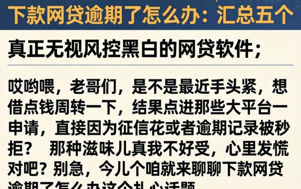 下款网贷逾期了怎么办,汇总五个真正无视风控黑白的网贷软件