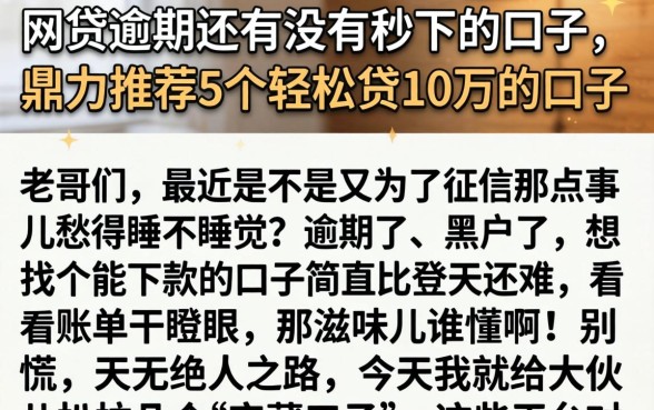 网贷逾期还有没有秒下的口子，鼎力推荐5个轻松贷10万的口子