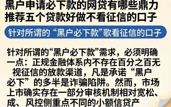 黑户申请必下款的网贷有哪些，鼎力推荐五个贷款好做不看征信的口子