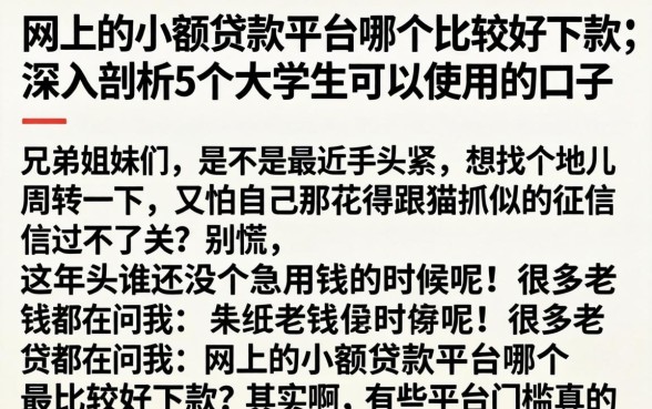 网上的小额贷款平台哪个比较好下款，深入剖析5个大学生可以使用的口子