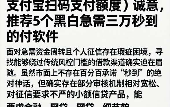支付宝扫码支付额度,诚意推荐5个黑户急需三万秒到的的软件