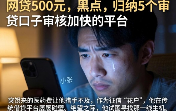 网贷500元 黑户，归纳5个审贷口子审核加快的平台