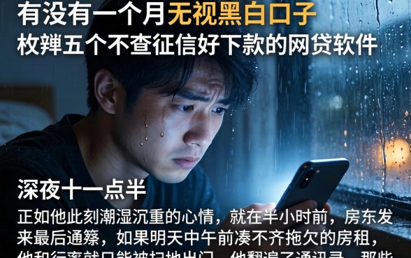 有没有一个月无视黑白的口子，枚举五个不查征信好下款的网贷软件