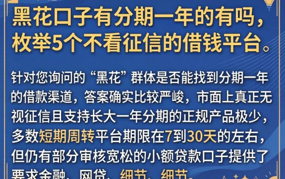 黑花口子有分期一年的有吗，枚举5个不看征信的借钱平台