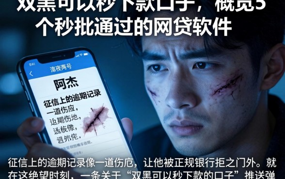 双黑可以秒下款的口子，概览5个秒批通过的网贷软件