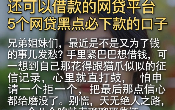 还可以借款的网贷平台,条列5个网贷黑户必下款的口子