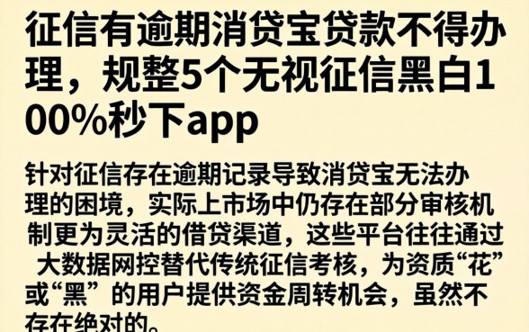 征信有逾期消贷宝贷款不得办理，规整5个无视征信黑白100%秒下app