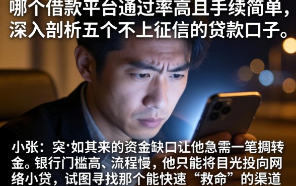 哪个借款平台通过率高且手续简单，深入剖析五个不上征信的贷款口子