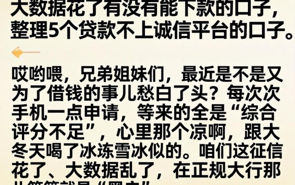 大数据花了有没有能下款的口子，整理5个贷款不上诚信平台的口子
