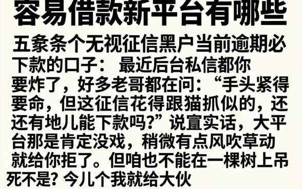 容易借款新平台有哪些，条列五个无视征信黑户当前逾期必下款的口子