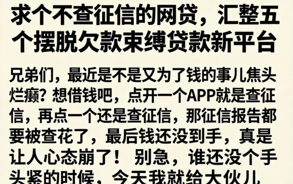 求个不查征信的网贷，汇整五个摆脱欠款束缚贷款新平台