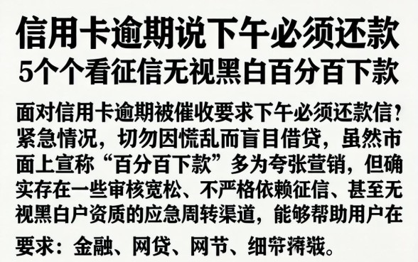 信用卡逾期说下午必须还款，概括5个不看征信无视黑白百分百下款