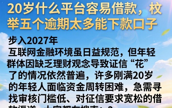 20岁什么平台容易借款,枚举五个逾期太多能下款口子