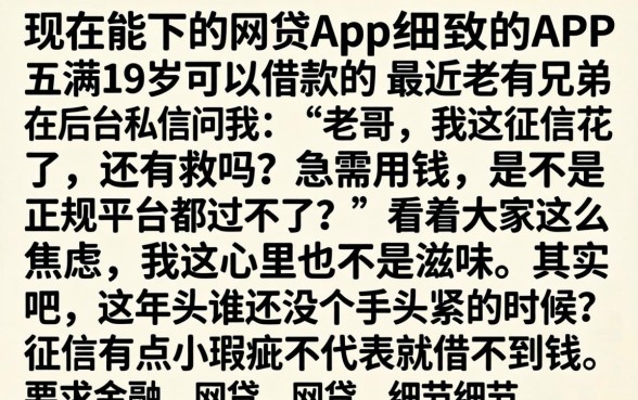 现在能下的网贷app，细致阐述五个满19岁可以借款的app