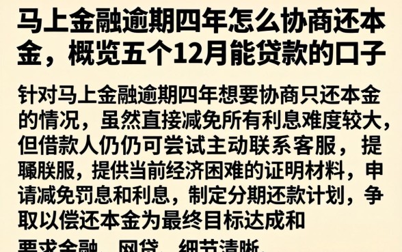 马上金融逾期四年怎么协商还本金，概览五个12月能贷款的口子